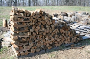 Firewood