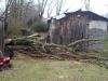 The tree that fell on Dad\'s garage